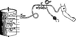 Muscles: figure 2 from the 1928–1936 encyclopedia article
