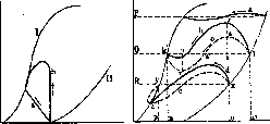 Muscles: figure 7 from the 1928–1936 encyclopedia article