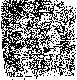 Electric Organs: figure 2 from the 1928–1936 encyclopedia article