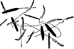 Venomous Animals: figure 3 from the 1928–1936 encyclopedia article