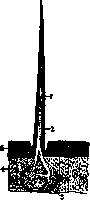 Venomous Animals: figure 4 from the 1928–1936 encyclopedia article