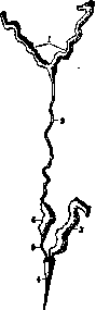 Venomous Animals: figure 5 from the 1928–1936 encyclopedia article