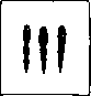 Echinococcus: figure 2 from the 1928–1936 encyclopedia article