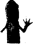 Regeneration: figure 12 from the 1928–1936 encyclopedia article