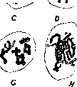 Redressment and Reduction Division: figure 14 from the 1928–1936 encyclopedia article