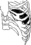 Spleen: figure 4 from the 1928–1936 encyclopedia article