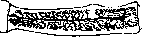 Taeniasis and Taeniarhynchosis: figure 7 from the 1928–1936 encyclopedia article