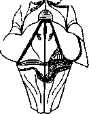 Area: figure 1 from the 1928–1936 encyclopedia article
