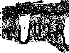 Larva Migrans: figure 3 from the 1928–1936 encyclopedia article