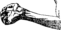 Ulnar Nerve: figure 6 from the 1928–1936 encyclopedia article