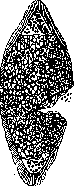 Sarcosporidia: figure 2 from the 1928–1936 encyclopedia article