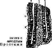 Glands: figure 1 from the 1928–1936 encyclopedia article