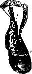 Footwear: figure 9 from the 1928–1936 encyclopedia article