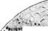 Teeth: figure 19 from the 1928–1936 encyclopedia article