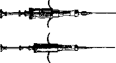 Syphacia Obvelata: figure 4 from the 1928–1936 encyclopedia article