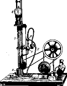 Syphacia Obvelata: figure 3 from the 1928–1936 encyclopedia article