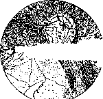 Coloboma: figure 2 from the 1928–1936 encyclopedia article