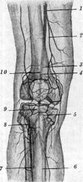 Crystals: figure 2 from the 1928–1936 encyclopedia article