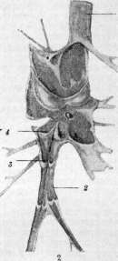 Crystals: figure 3 from the 1928–1936 encyclopedia article