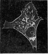 Crystals: figure 7 from the 1928–1936 encyclopedia article
