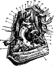 Stupor: figure 4 from the 1928–1936 encyclopedia article