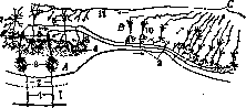 Olfaction: figure 1 from the 1928–1936 encyclopedia article