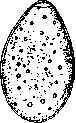 Fasciolopsis: figure 2 from the 1928–1936 encyclopedia article