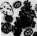 Hematopoiesis: figure 4 from the 1928–1936 encyclopedia article