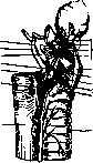 Recurrent Nerve: figure 3 from the 1928–1936 encyclopedia article