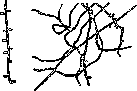 Dermatophytes: figure 3 from the 1928–1936 encyclopedia article
