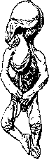 Epigastrius: figure 1 from the 1928–1936 encyclopedia article
