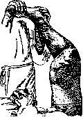 Gonitis: figure 8 from the 1928–1936 encyclopedia article