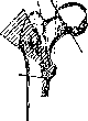Hip Joint: figure 10 from the 1928–1936 encyclopedia article