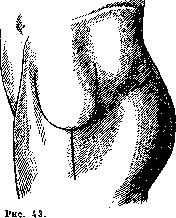 Hip Joint: figure 40 from the 1928–1936 encyclopedia article