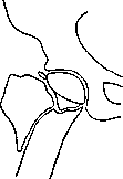 Hip Joint: figure 27 from the 1928–1936 encyclopedia article