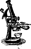 Fats: figure 1 from the 1928–1936 encyclopedia article