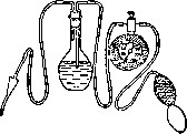 Fallopian Tubes: figure 8 from the 1928–1936 encyclopedia article