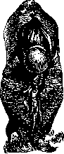 Hermaphroditism: figure 6 from the 1928–1936 encyclopedia article