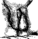 Hermaphroditism: figure 4 from the 1928–1936 encyclopedia article