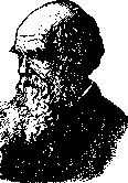 Charles Darwin: figure 1 from the 1928–1936 encyclopedia article