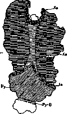 Stomach: figure 4 from the 1928–1936 encyclopedia article