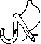 Stomach: figure 35 from the 1928–1936 encyclopedia article