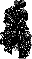 Stomach: figure 31 from the 1928–1936 encyclopedia article