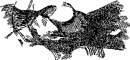 Acromegaly: figure 3 from the 1928–1936 encyclopedia article