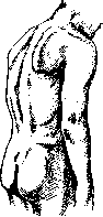 Lordosis: figure 3 from the 1928–1936 encyclopedia article