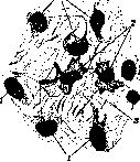 Connective Tissue: figure 4 from the 1928–1936 encyclopedia article