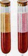 Diazo Reactions: figure 9 from the 1928–1936 encyclopedia article