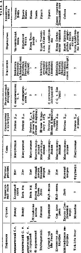 Typhus (TYPHUS): figure 13 from the 1928–1936 encyclopedia article