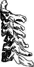 Dislocations: figure 20 from the 1928–1936 encyclopedia article