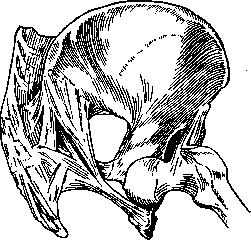 Dislocations: figure 11 from the 1928–1936 encyclopedia article